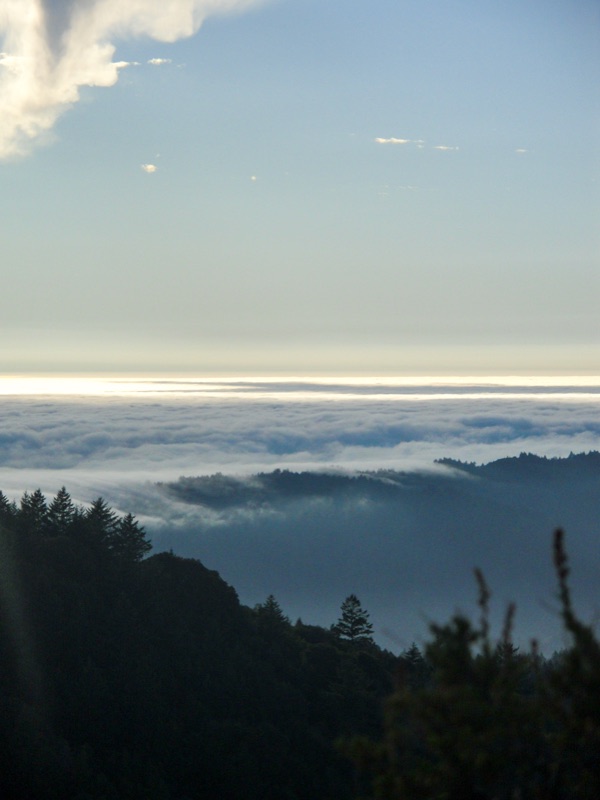 Fog Rolling In