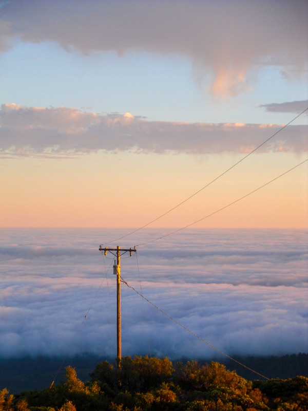 Lone Pole