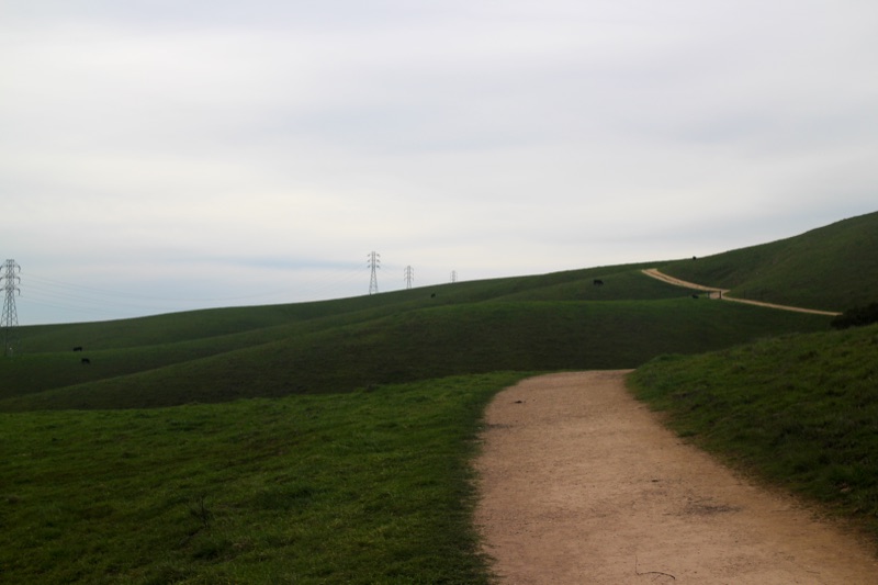 The Long Trail