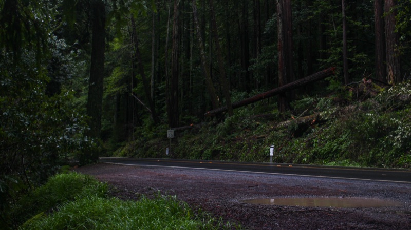 Redwood Road