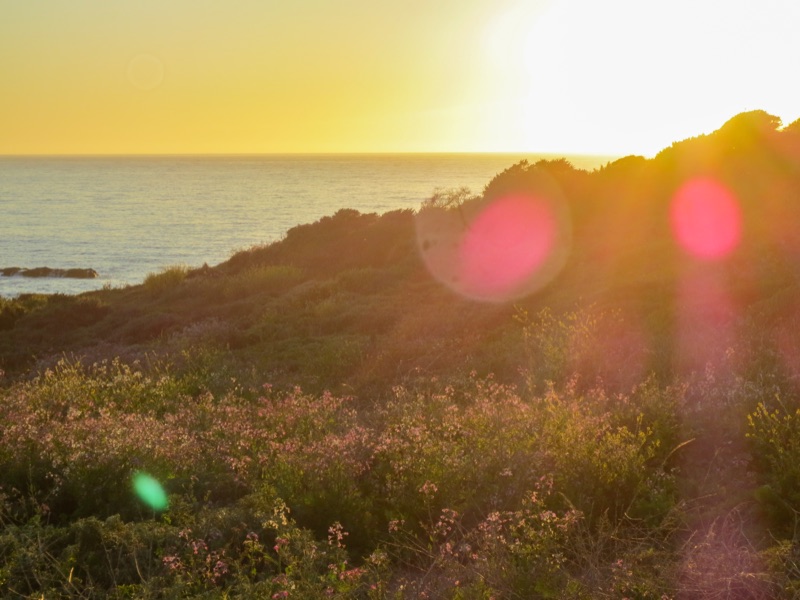 Golden Coast